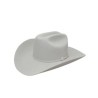 Texana Stetson Shasta 10X