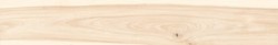 PISO CERAMICO 20X120 WOODTIME EUCALIPTO