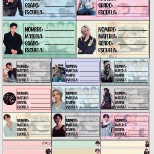 Planilla con 25 Etiquetas Escolares de Materias Tamaño Carta StrayKids