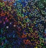 Rollo de laminado térmico holografico de 50m x 30cm tipo "Corazones"