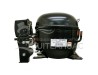 NT2168GKV-115V COMPRESOR HERMETICO