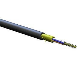 006E8F-31131-29