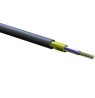 006E8F-31131-29