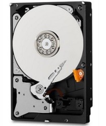 WD10PURZ