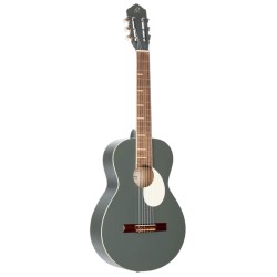 Guitarra Acustica de 6 cuerdas Con funda, Ortega RGAPLT, Color Gris
