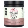 Terra Origin, Intestinos saludables, Bayas, 243g (8,57oz)