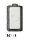 5000