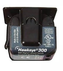 H300