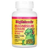 Natural Factors, Big Friends, Citrato de magnesio, Sabor a goma de mascar, 50 mg, 60 comprimidos masticables