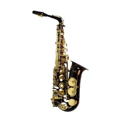 Saxofón Alto MI bemol Silvertone Negro con Llaves Doradas. Saxofon SLSX019