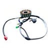 ESTATOR 18 BOBINAS NS200 FI