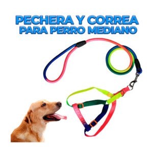 Juego con correa de 1.2 metros y pechera multicolor talla mediana para mascota / mas.25.m