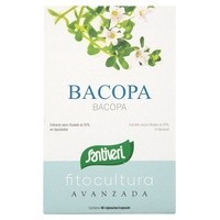 Bacopa