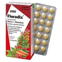 Floradix Hierro