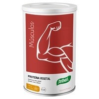 Dynamic proteína vegetal de vainilla