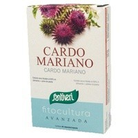 Cardo Mariano