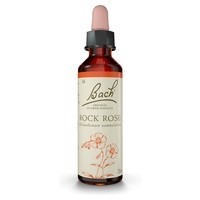 Bach Rock Rose
