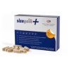 Sizegain Plus