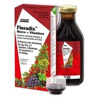 Floradix Hierro (250ml)