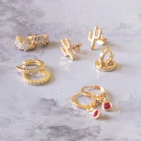 Aretes de cactus