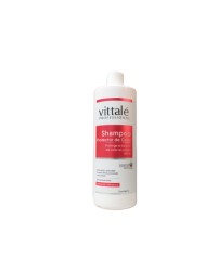 Shampoo protector de color libre de sal y parabenos 1L