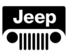 PLAFON CALAVERA DINA JEEP UNIVERSAL MATERIAL ACRILICO OEM. 952 2066 650 50972
