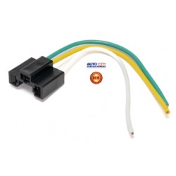 ARNES CAMBIO LUZ DE PIE FORD DODGE OEM.