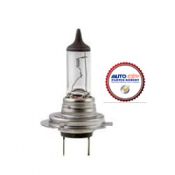 FOCO H7 100W 12V HALOGENO OEM. ECO