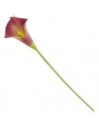 Louiwill 10 Piezas Artificiales Cala Novia...
