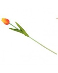 Louiwill Al Por Mayor De La Flor...