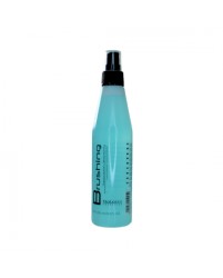 Termo protector Brushing active 250 ml - Salerm