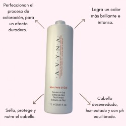 Di Goji Maschera protector de cabello teñido 1 Litro - AVYNA
