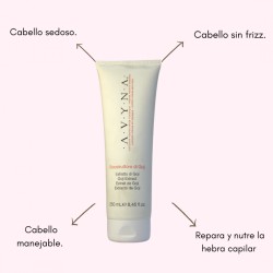 Di Goji Riconstruttore nutre y protege el cabello teñido 250ml - AVYNA