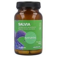 Salvia