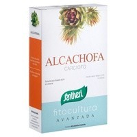 Alcachofa