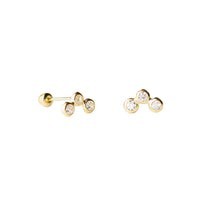 Arete arco zirconia biselada