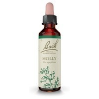 Flores de Bach Holly