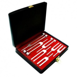 ESTUCHE DE DIAPASÓN CON 7