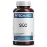 Sibo