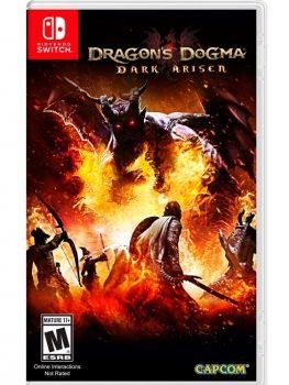 DRAGONS DOGMA SWITCH